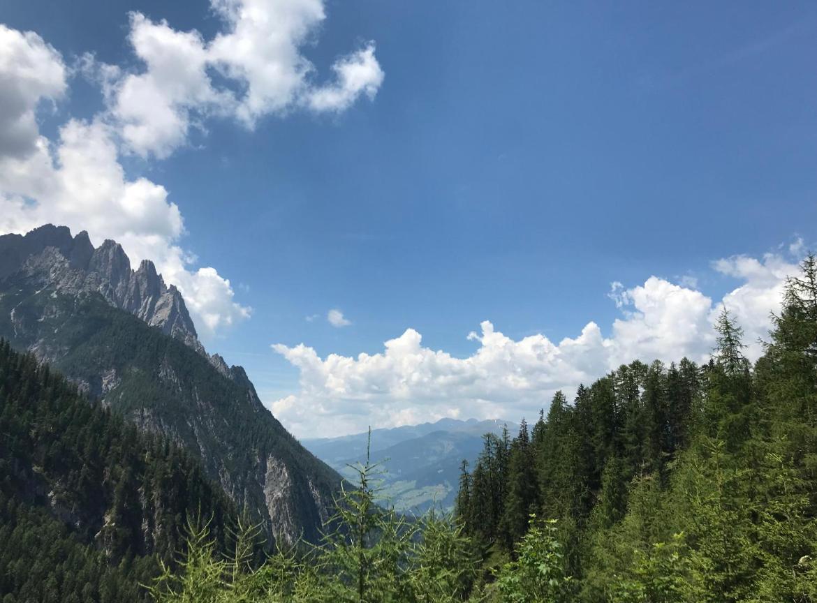 The Dolomiti View Lägenhet Debant Exteriör bild